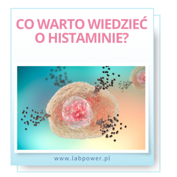 Histamina – co warto o niej wiedzieć